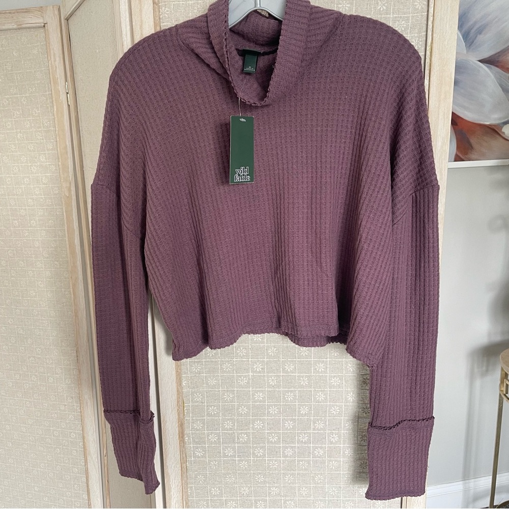 Wild Fable long sleeve cropped top